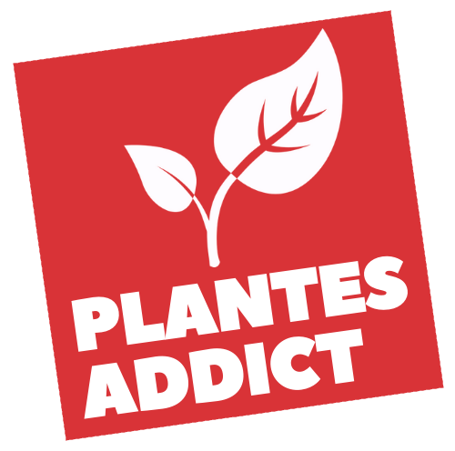 Plantes Addict